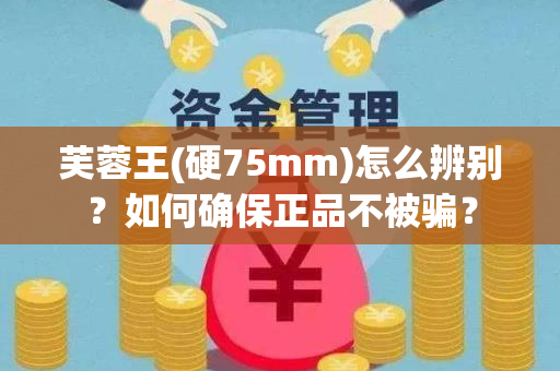 芙蓉王(硬75mm)怎么辨别？如何确保正品不被骗？